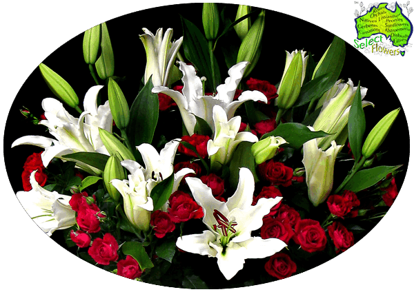 LILY and ROSE COMBO LILY and ROSE COMBO