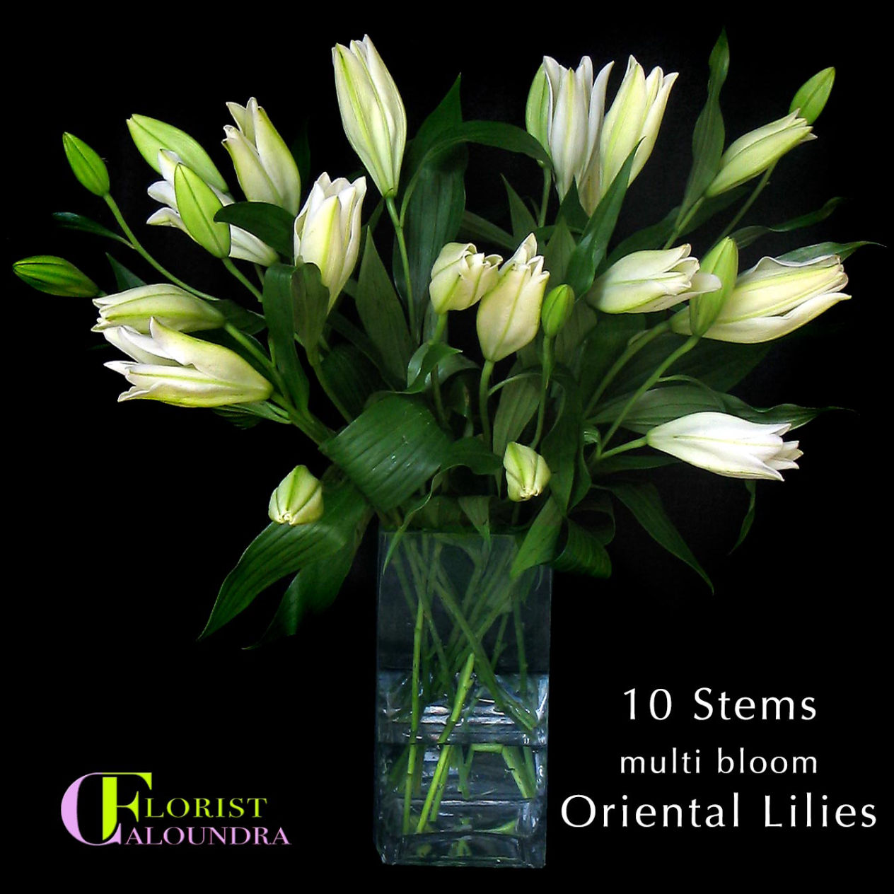 ORIENTAL LILIES CALOUNDRA FLORIST ORIENTAL LILIES