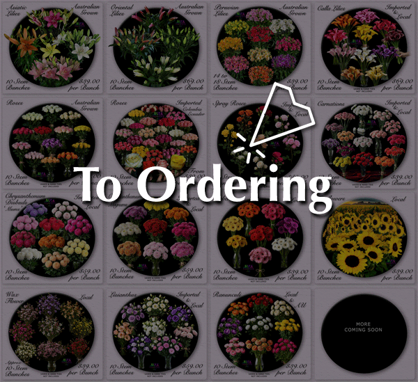 ORDERING BULK FLOWERS ORDERING BULK FLOWERS